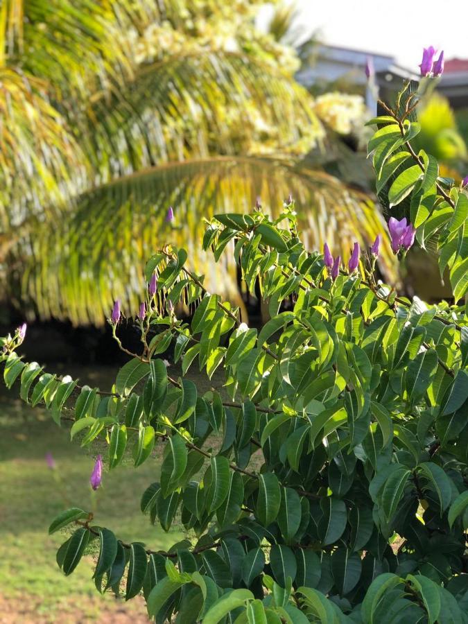 Sunshine Hotel Little Corn Island Εξωτερικό φωτογραφία
